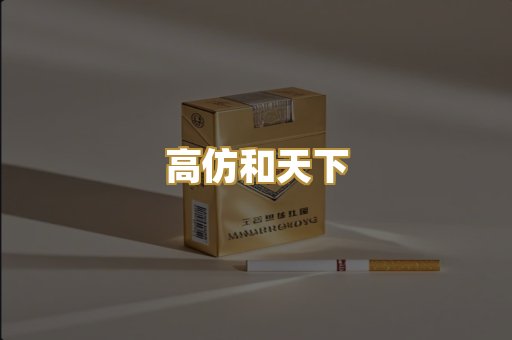 高仿和天下